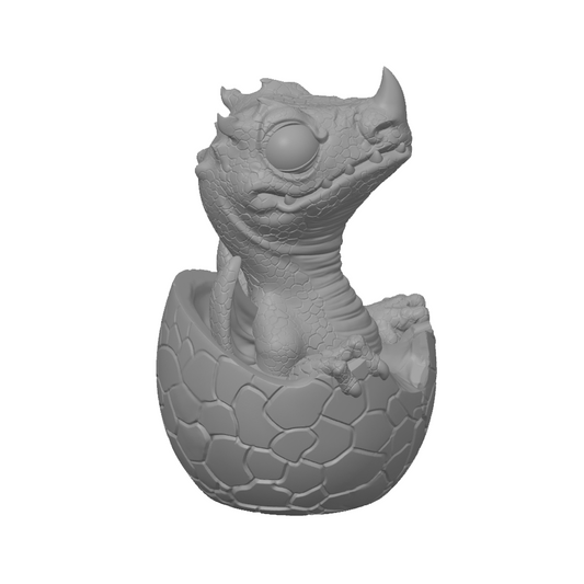 Dragon Hatchling