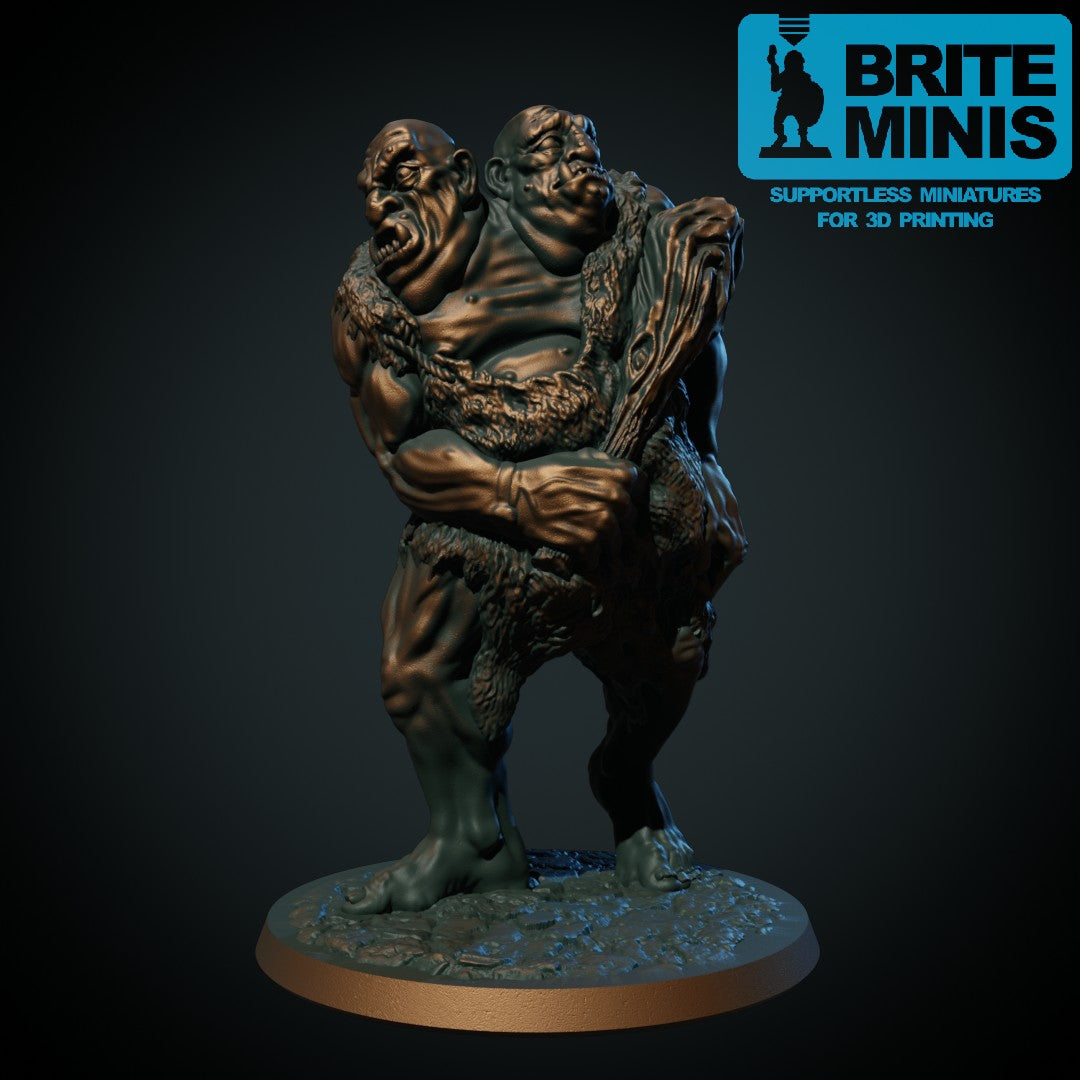 Ettin II