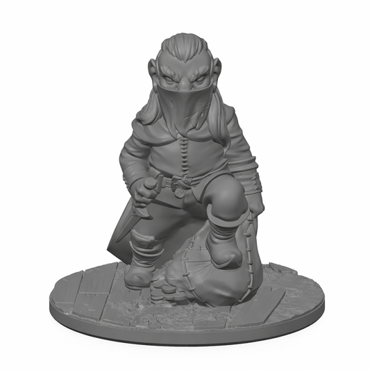 Gnome Thief 1