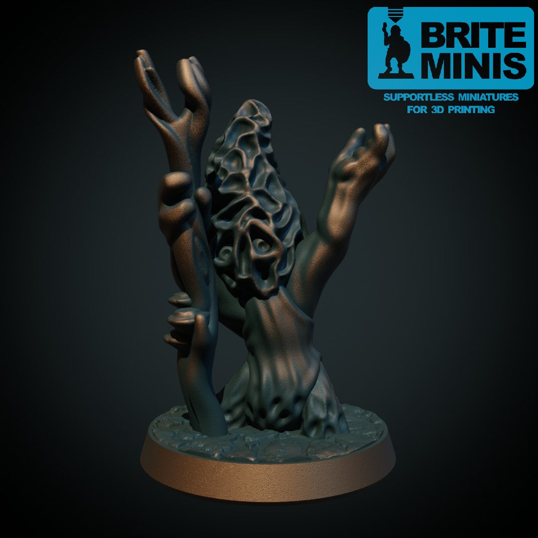 Myconid04 druid