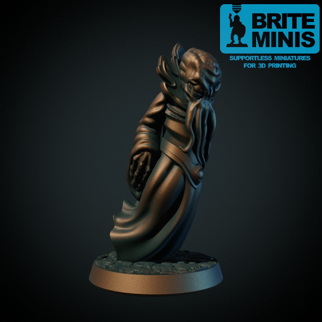 Blekksprutskapning miniatyr