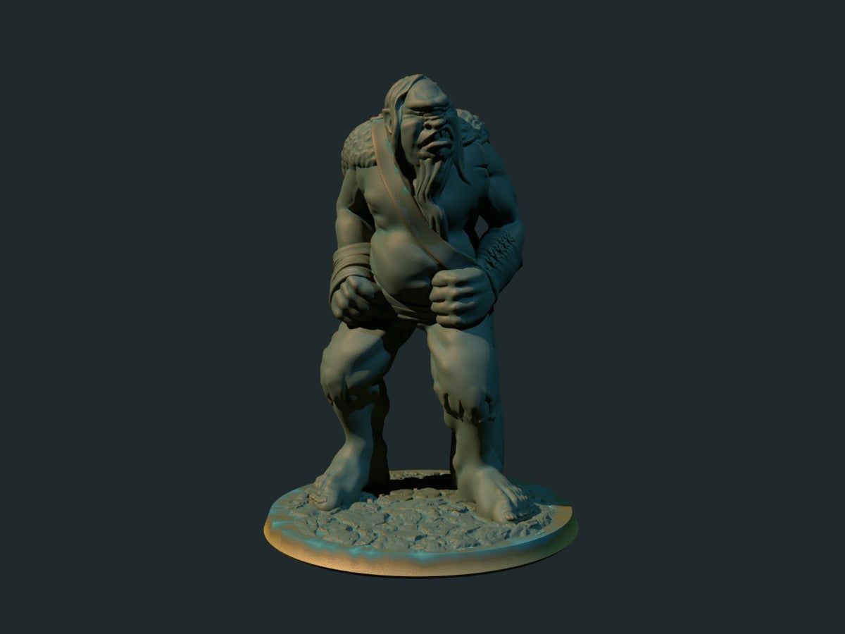 Kyklop – 3D-printet D&D-miniatyr fra Spillsmia