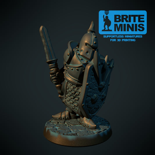 Mørk kriger 2, 3D-printet D&D-miniatyr fra Spillsmia.