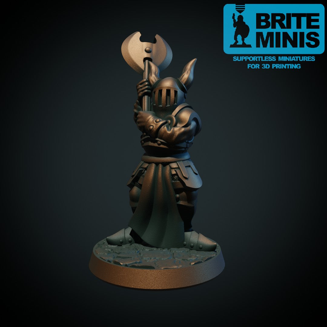 Mørk kriger 5, 3D-printet D&D-miniatyr fra Spillsmia.