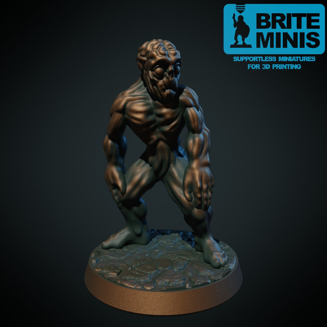 Dobbeltgjenger – 3D-printet D&D-miniatyr fra Spillsmia