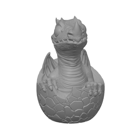 Dragon Hatchling