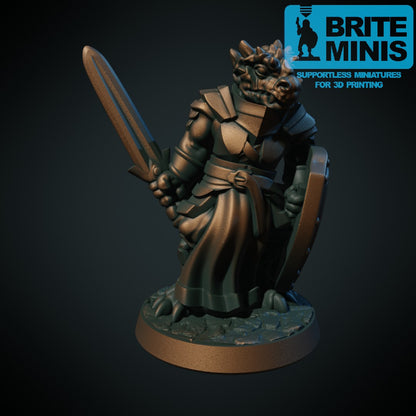 Tre dragonborn-krigere: paladin og to sverdsvingende krigere, 3D-printet D&D-miniatyrsett fra Spillsmia.
