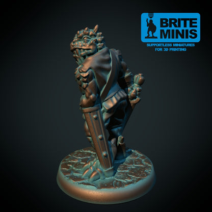Dragonfødt kriger 2 med sverd, 3D-printet D&D-miniatyr fra Spillsmia.
