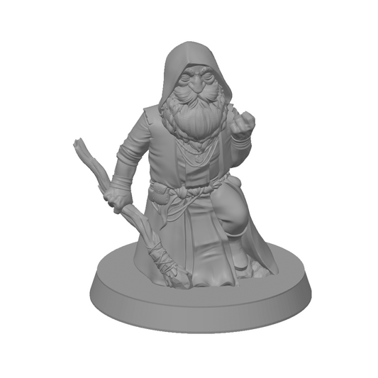 Finbrann - Gnome Wizard