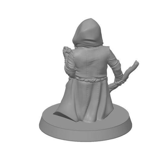 Finbrann - Gnome Wizard