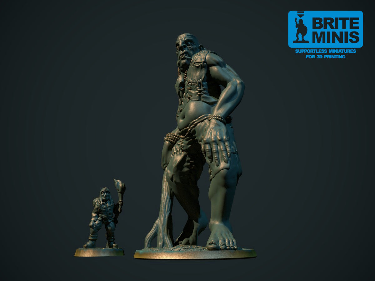 Kjempe miniatyr