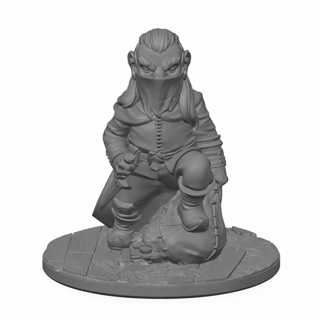 Gnome Thief 1