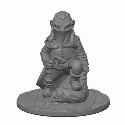 Gnome Thief 1