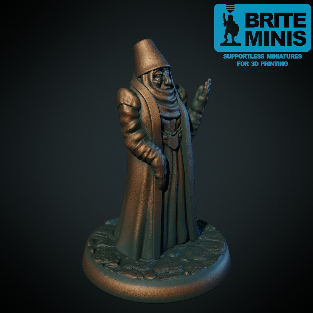 Matrone, 3D-printet D&D-miniatyr fra Spillsmia.