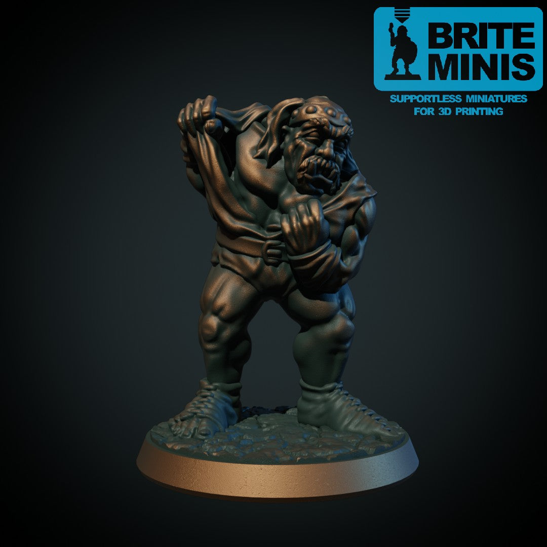 Ogre-bråkmaker