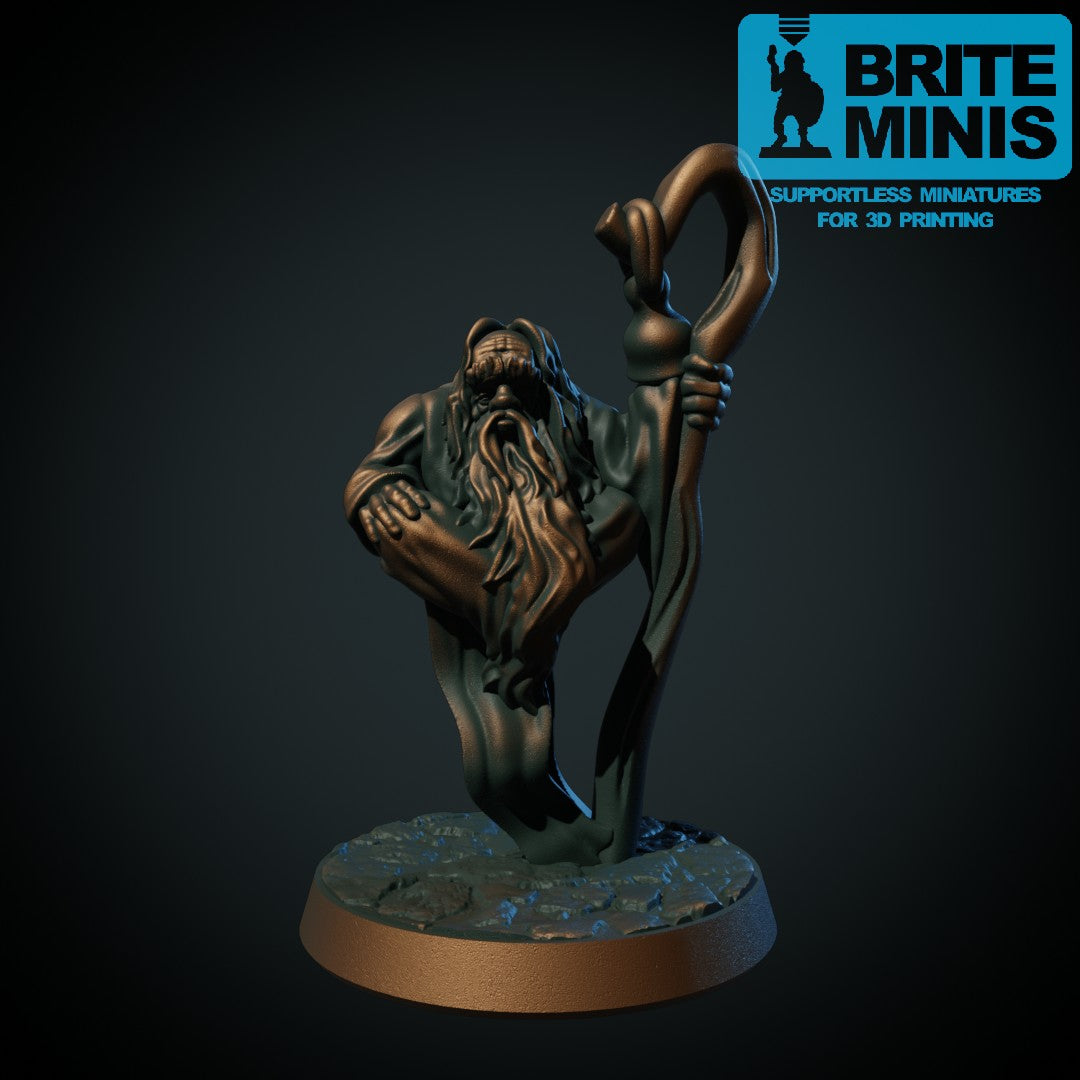 Gammel vismann, 3D-printet D&D-miniatyr fra Spillsmia.