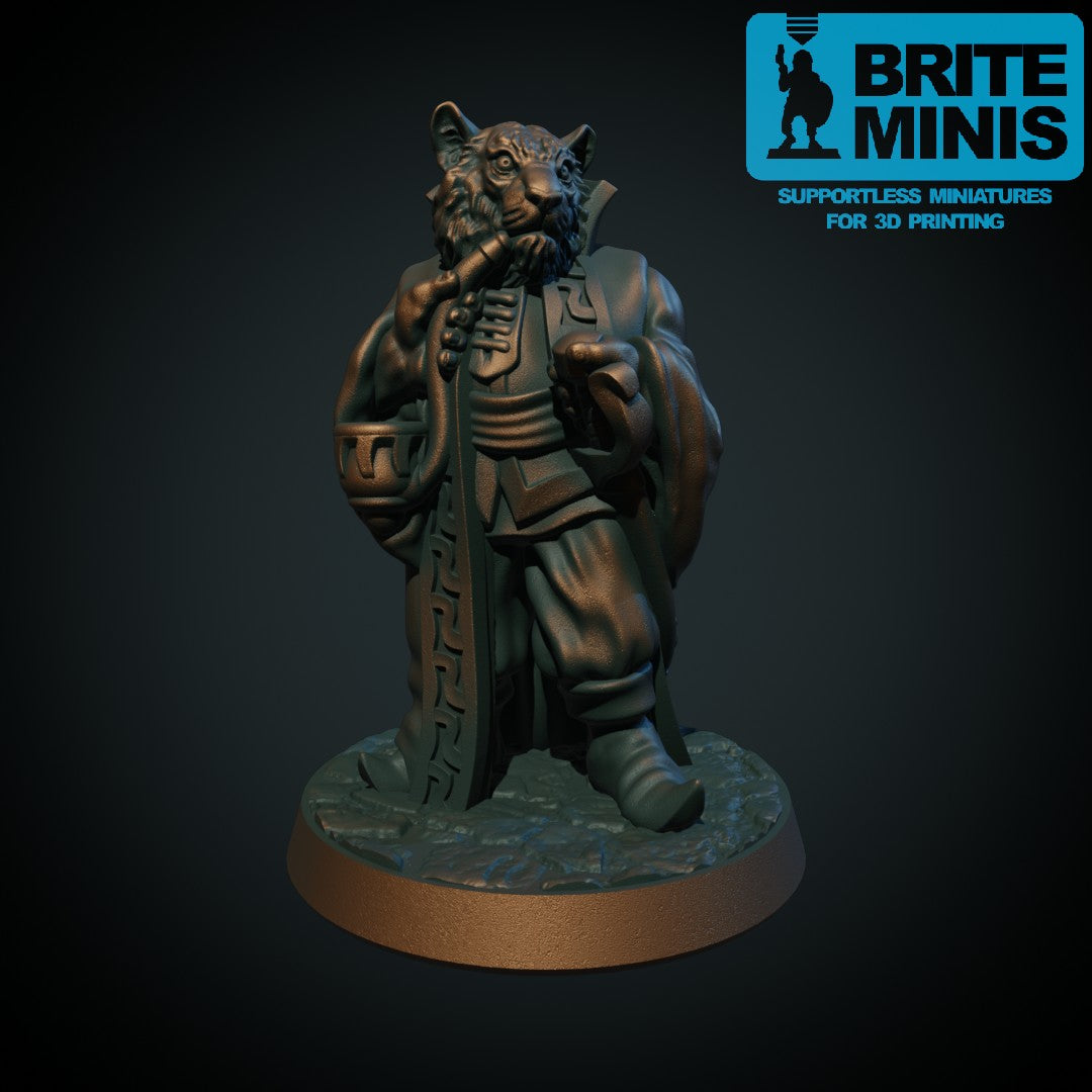 Rakshasa miniatyr