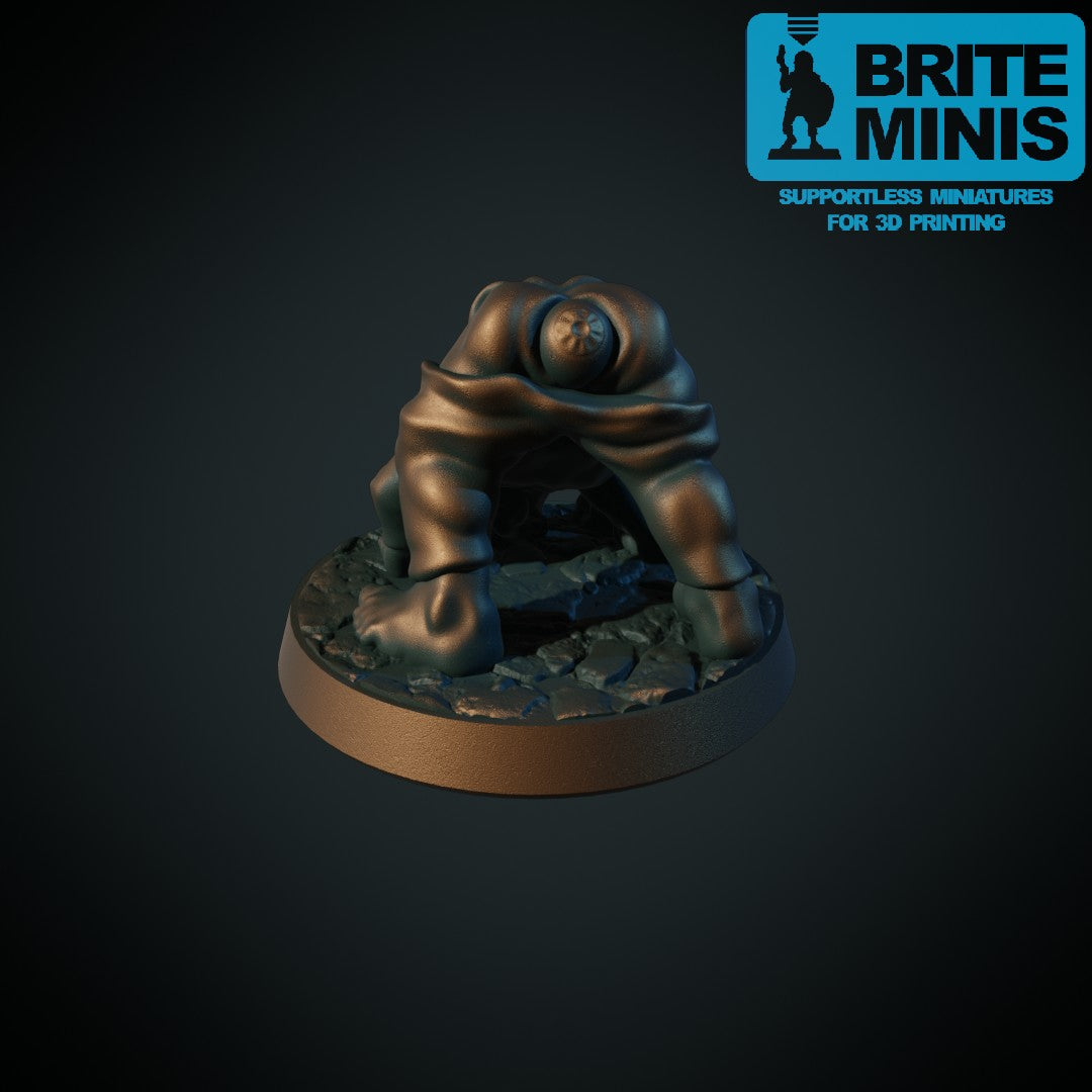 Shirime miniatyr