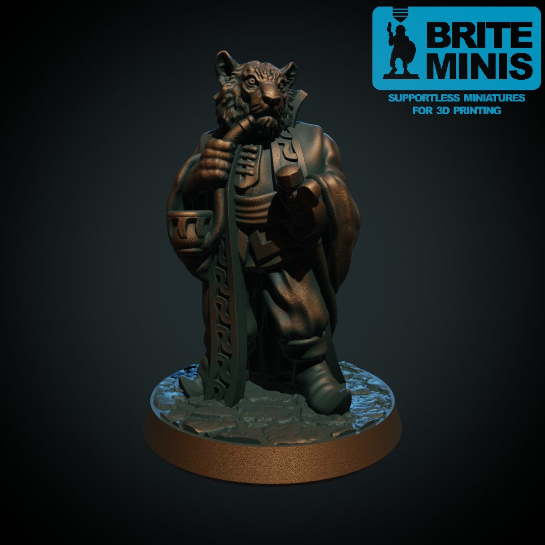Tabaxi tigeradelig, 3D-printet D&D-miniatyr fra Spillsmia.