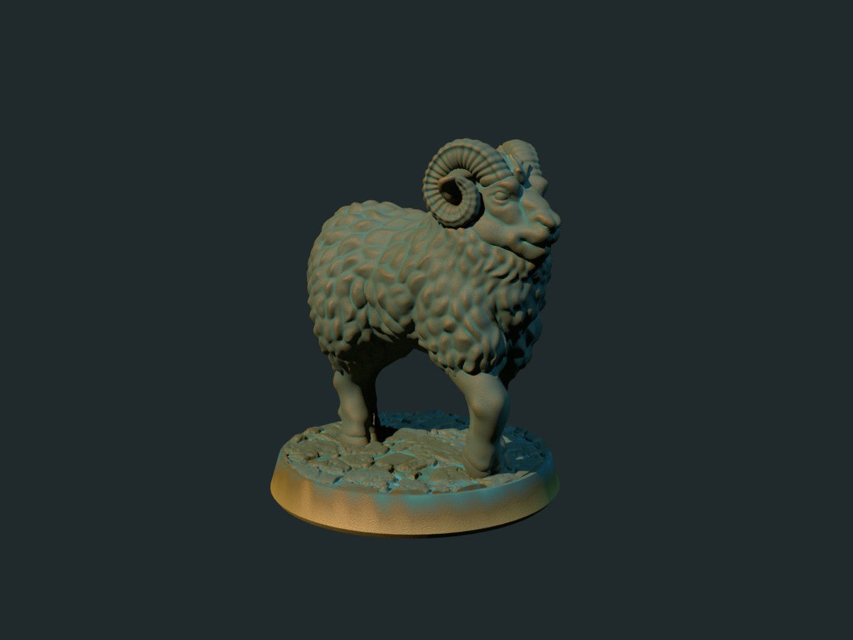 Ram