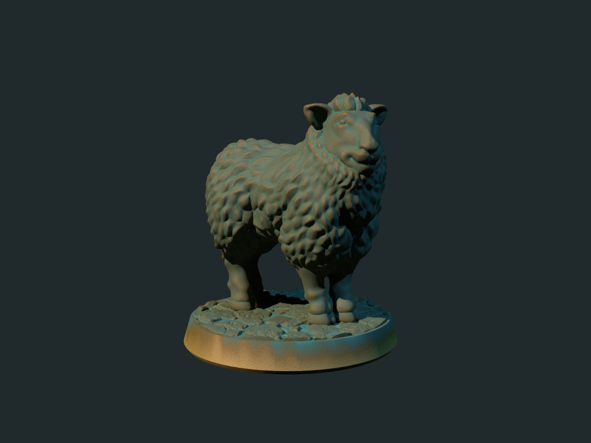 Sheep